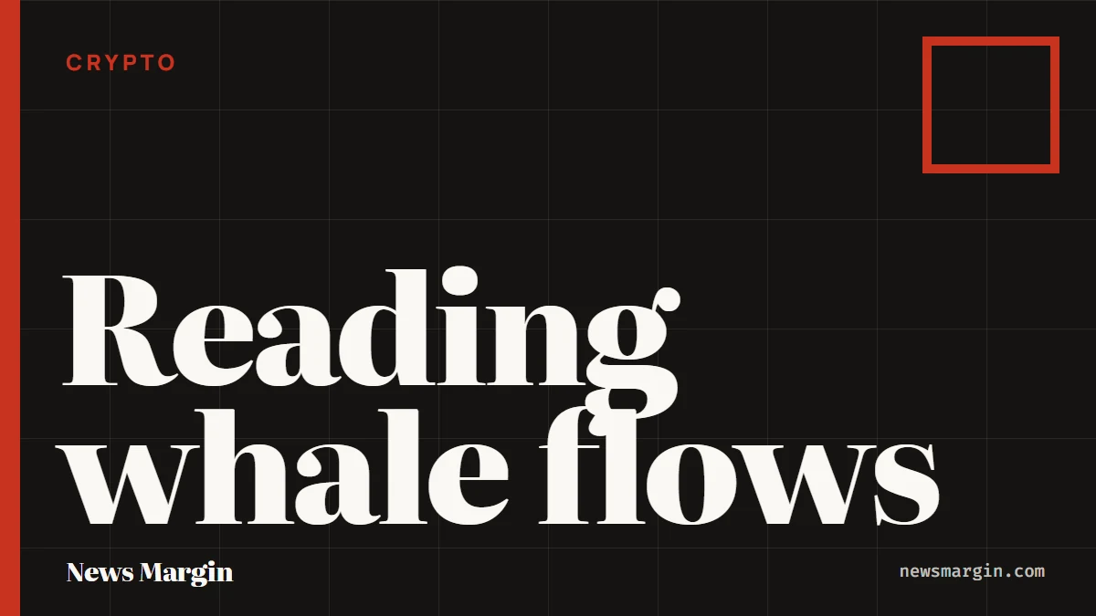 What Are Whale Flows? How to Read Large-Trade Data